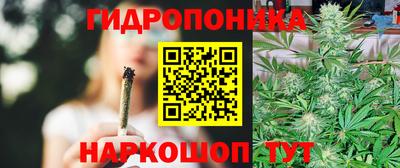 ALPHA-PVP Новозыбков