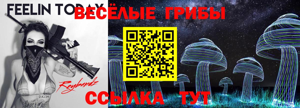 Галлюциногенные грибы мицелий  Вход с VPN  Георгиевск  Галлюциногенные грибы ЛСД 